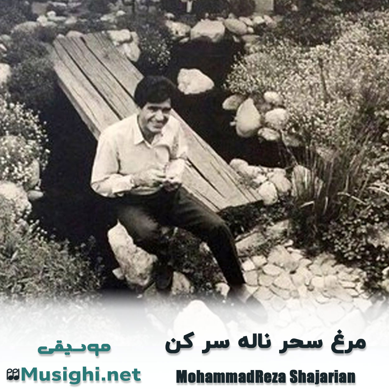 دانلود اهنگ مرغ سحر ناله سر کن محمدرضا شجریان