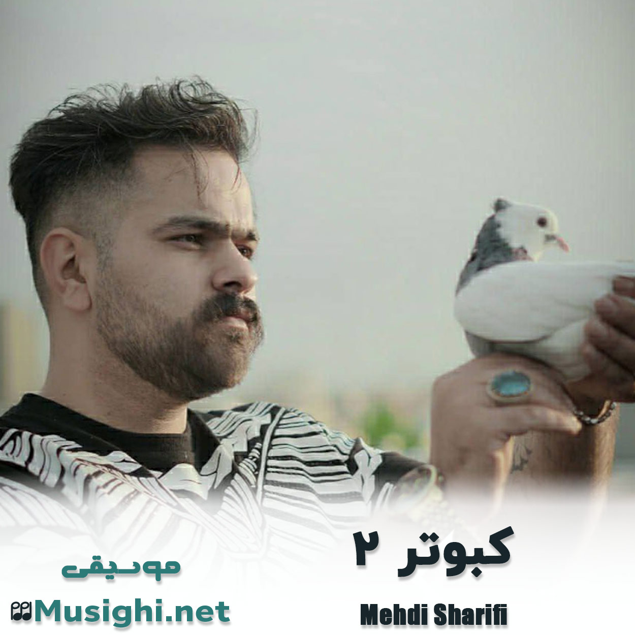مشاهده تصویر دانلود آهنگ کبوتر 2 مهدی شریفی دانلود اهنگ کبوتر 2 مهدی شریفی
