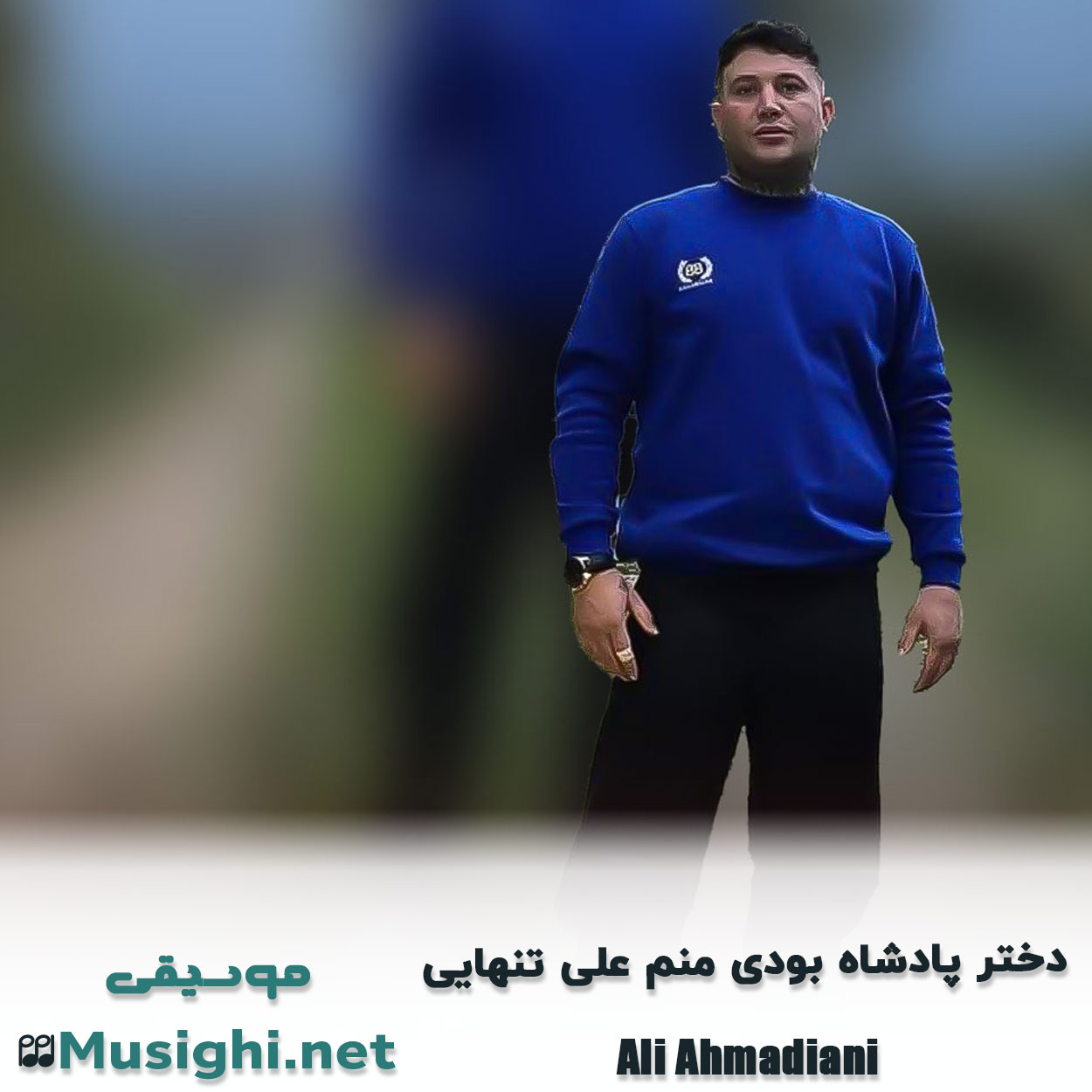 مشاهده تصویر دانلود آهنگ دختر پادشاه بودی منم علی تنهایی علی احمدیانی دانلود اهنگ دختر پادشاه بودی منم علی تنهایی علی احمدیانی