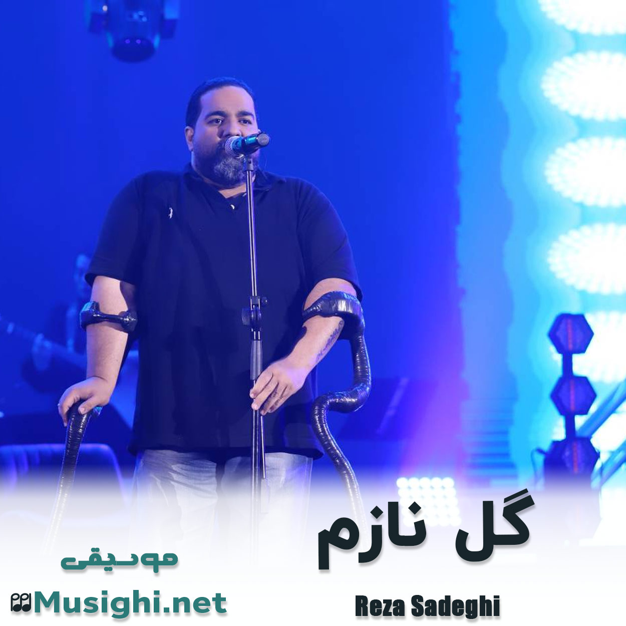 مشاهده تصویر دانلود آهنگ گل نازم رضا صادقی دانلود اهنگ گل نازم رضا صادقی