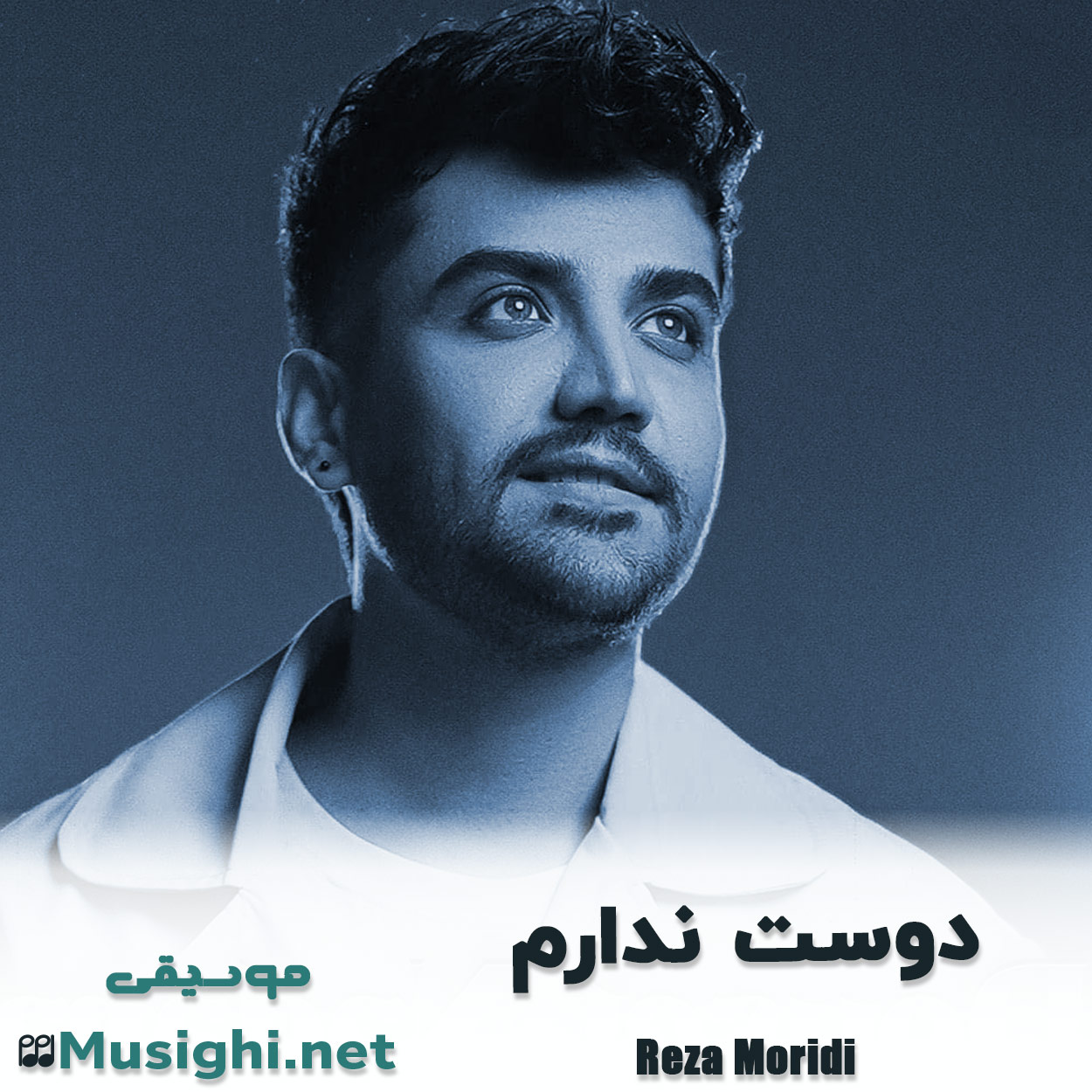 دانلود اهنگ دوست ندارم رضا مریدی