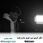 مهریار فکر کردی من تورو یادم رفت