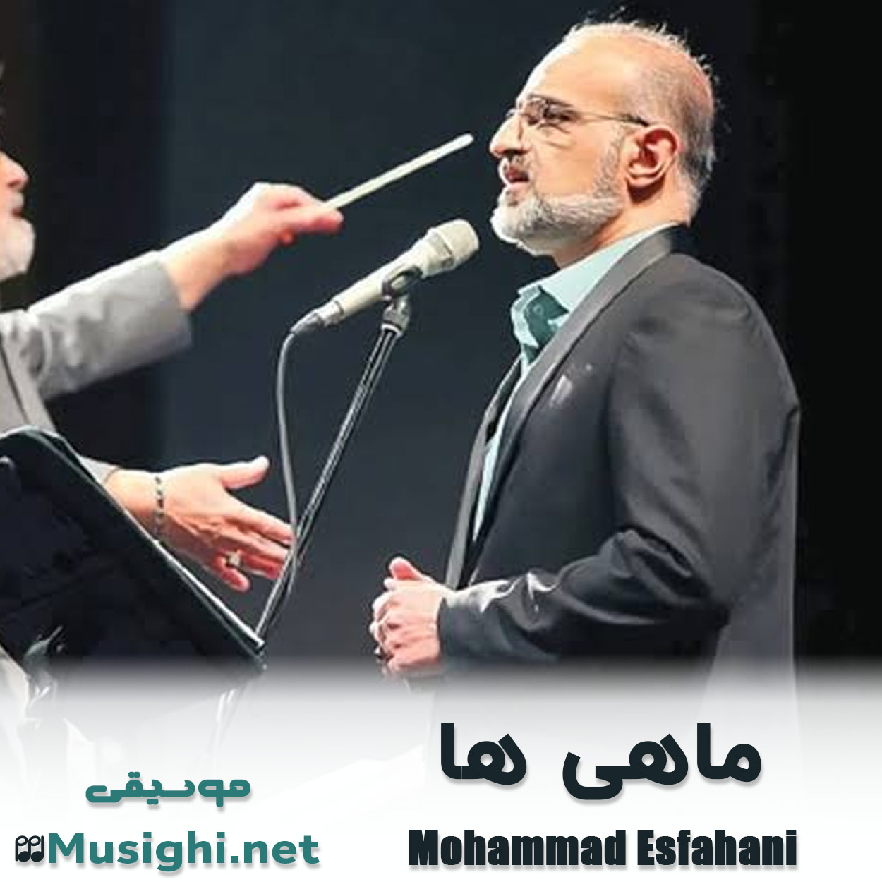 دانلود اهنگ ماهی ها محمد اصفهانی
