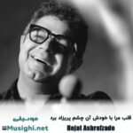 دانلود آهنگ قلب مرا با خودش آن چشم پریزاد برد حجت اشرف زاده حجت اشرف زاده قلب مرا با خودش آن چشم پریزاد برد