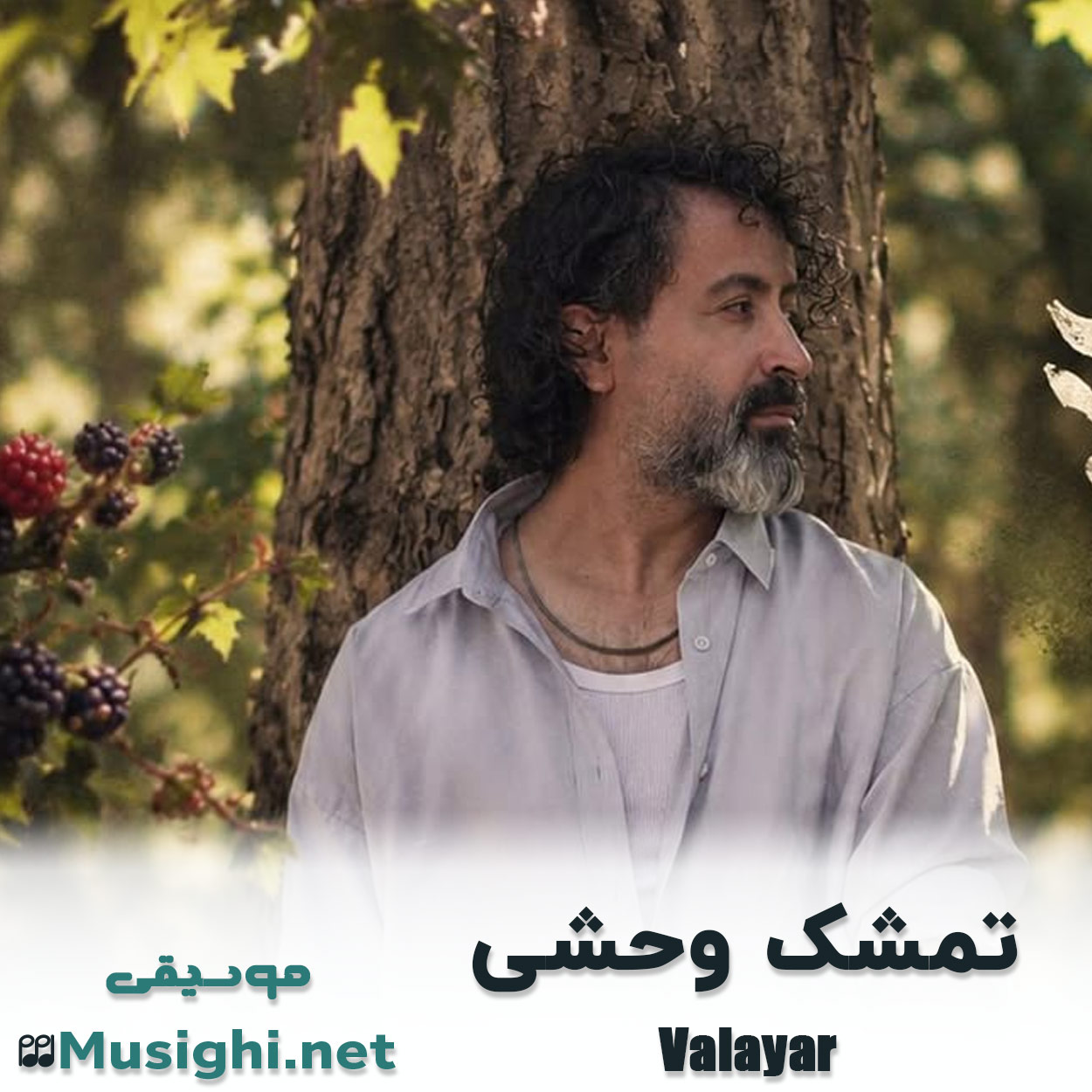 مشاهده تصویر دانلود آهنگ تمشک وحشی والایار دانلود اهنگ تمشک وحشی والایار